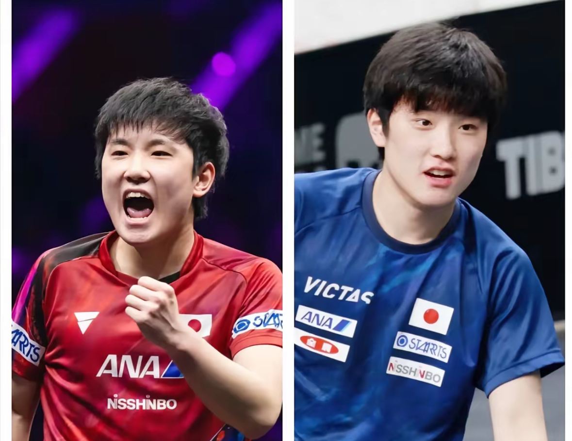 韩国乒乓球队横扫法国乒乓球队,张本智和统治全场 韩国乒乓球队横扫法国乒乓球队,张本智和统治全场