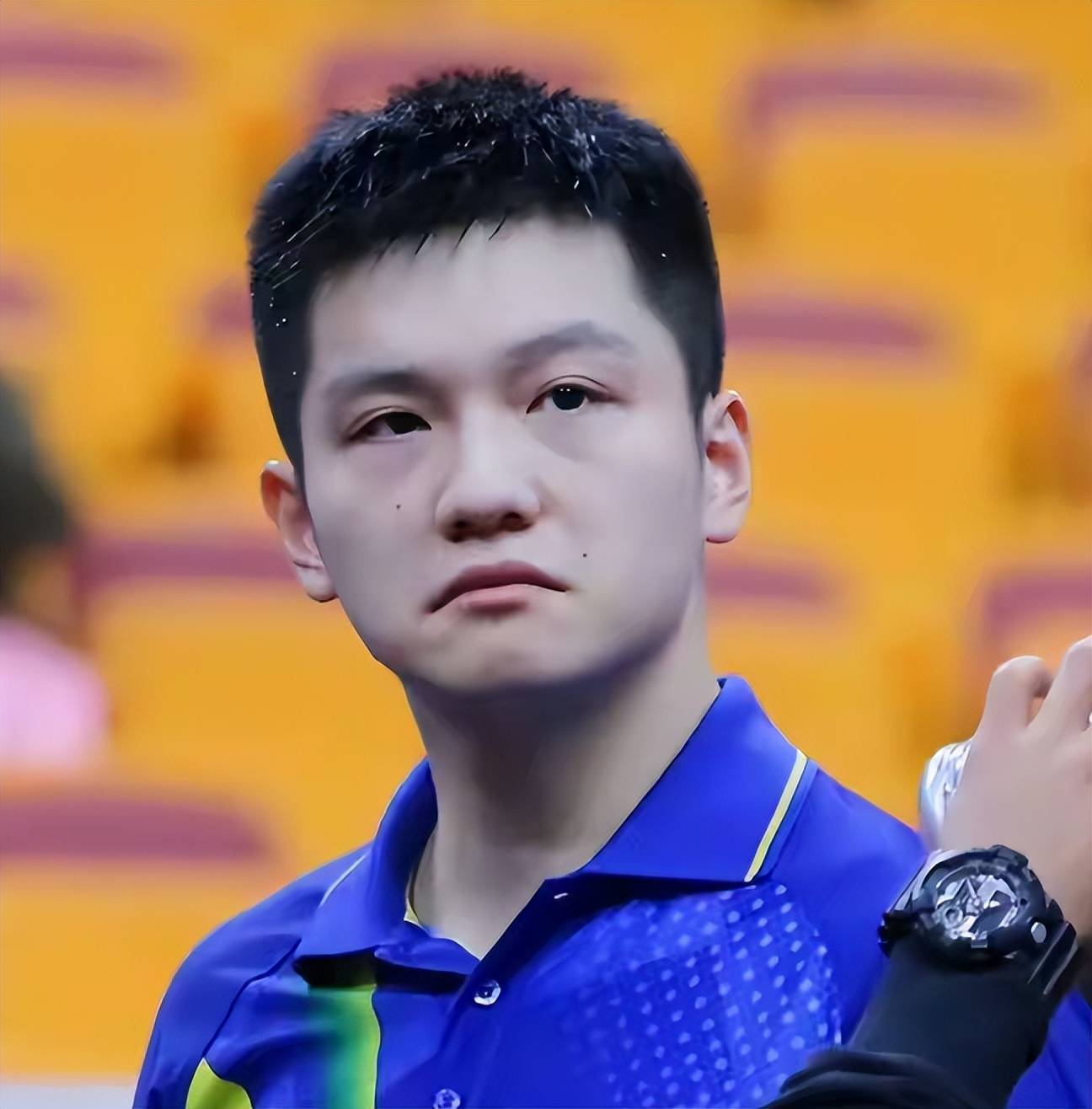 雷速官网-奥地利队逆转波兰队，樊振东高光表现